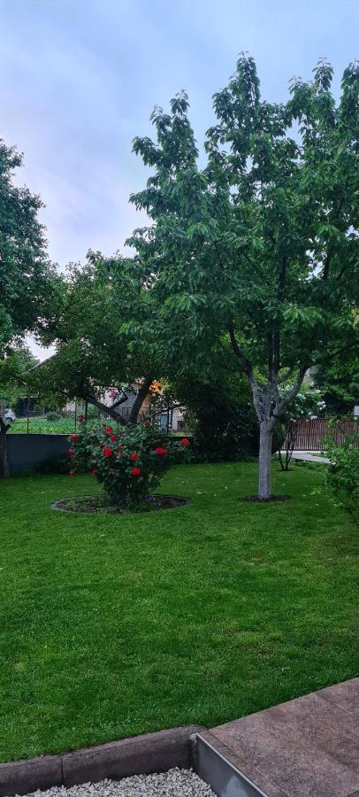 Prenociste Dubravka Apartment Ливно Екстериор снимка